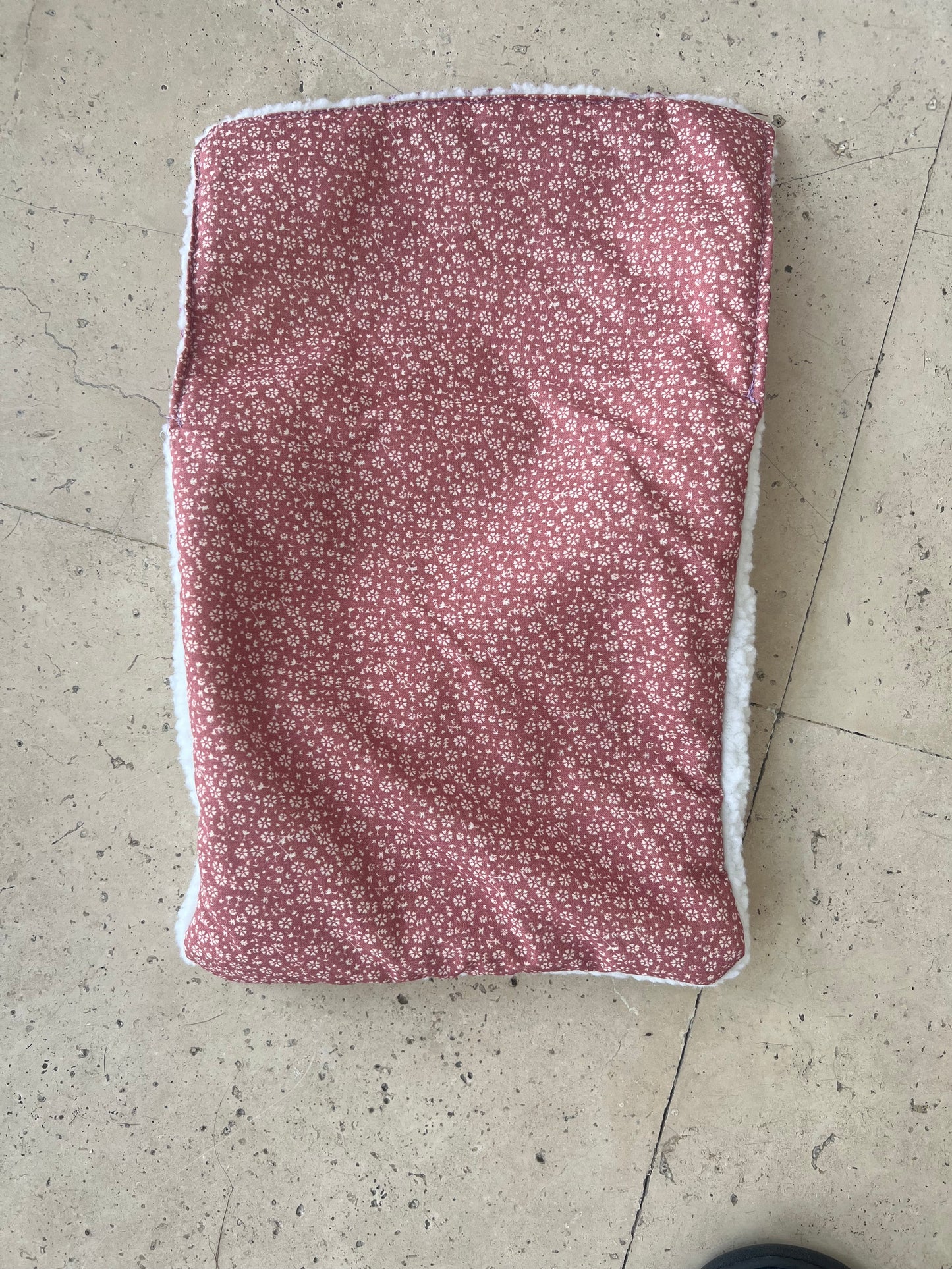 Arrullo para Pocholita